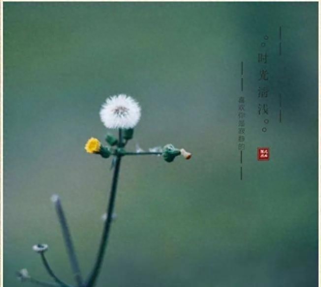 感叹时光岁月的唯美句子文案。感念时光，岁月清浅(图5)