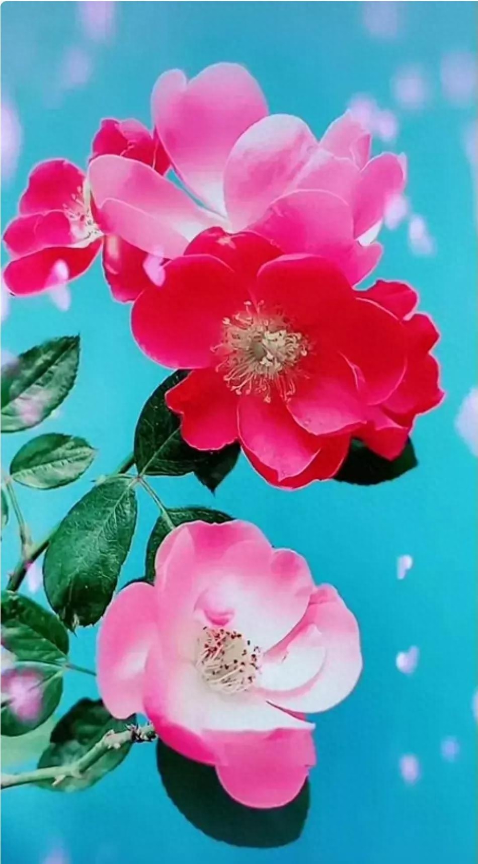 世人千千万，独宠你一人(图4)