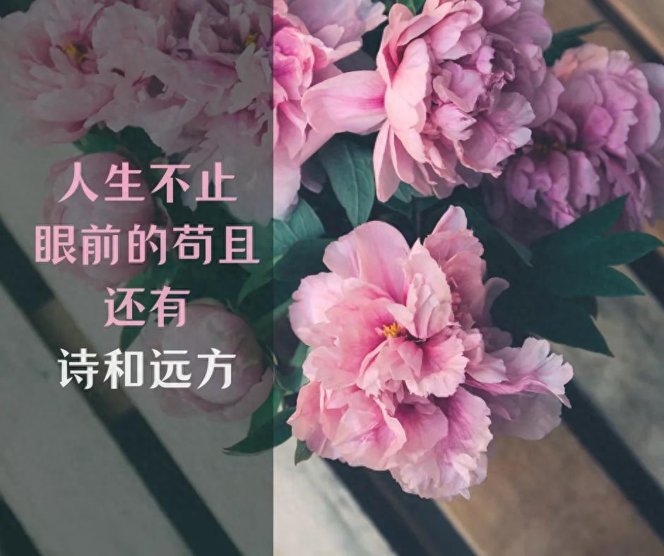 霸气简短又励志的句子，用尽全力，去做你想做的事(图1)