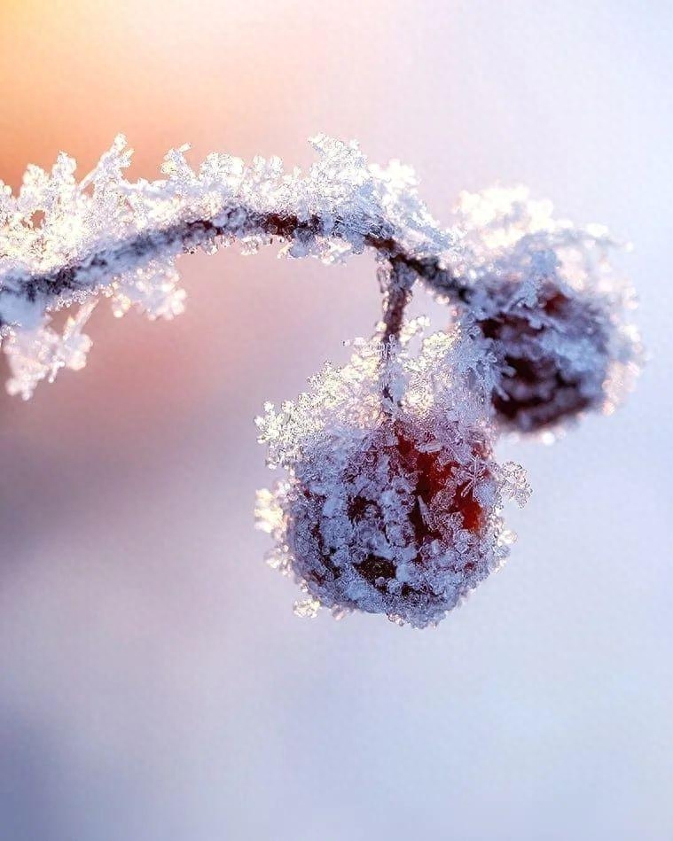 晚上发夜宵的朋友圈配图说说，拿去发朋友圈！(图2)