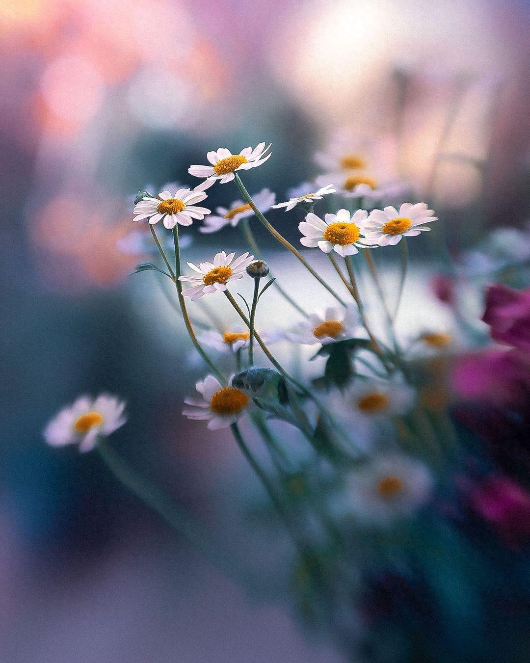 晚上发夜宵的朋友圈配图说说，拿去发朋友圈！(图5)