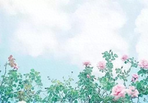 七月，愿所有的美好，都如约而至(图1)