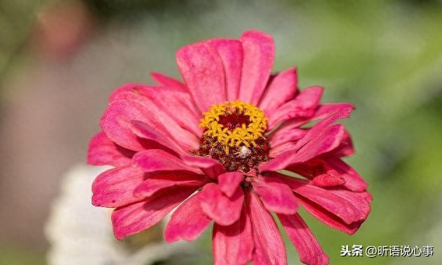 一生善良，必有后福！（经典）(图1)