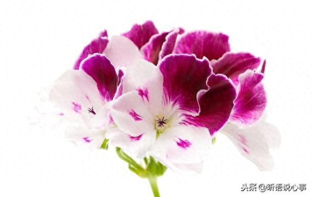 一生善良，必有后福！（经典）(图2)