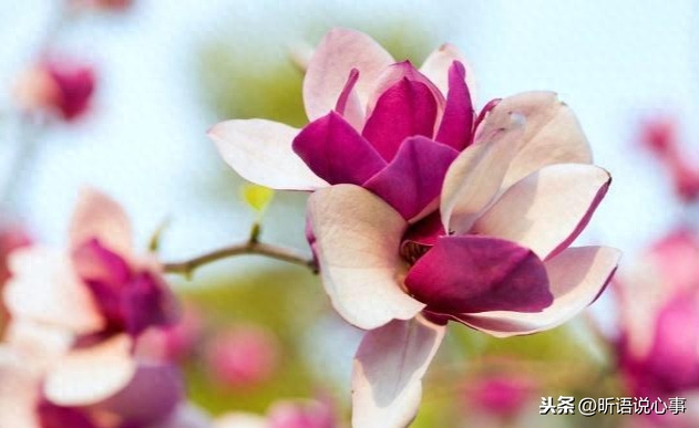 一生善良，必有后福！（经典）(图3)