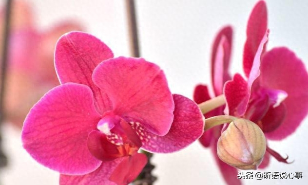 一生善良，必有后福！（经典）(图4)