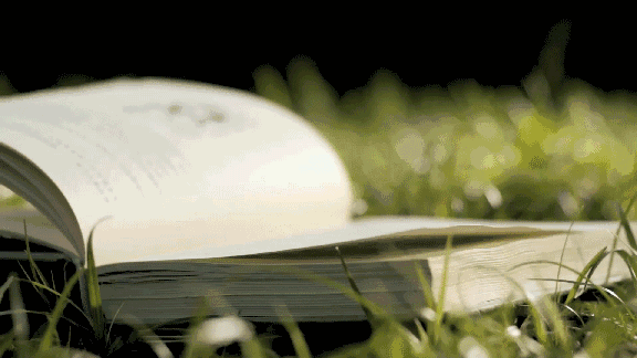 欣赏一个人，始于颜值，敬于才华，合于性格，久于善良，终于人品(图13)