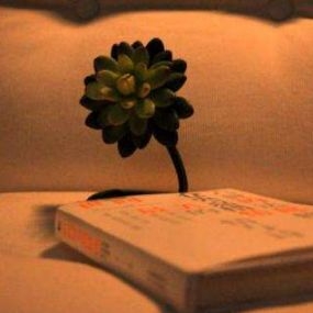 「诗词鉴赏」挑灯夜读 不负韶华(图4)