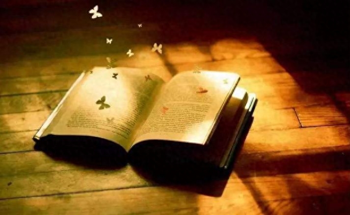 「诗词鉴赏」挑灯夜读 不负韶华(图16)