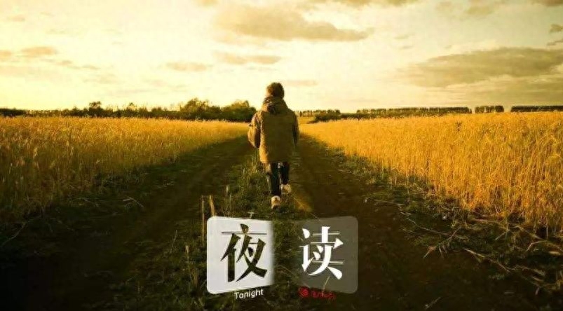 「诗词鉴赏」挑灯夜读 不负韶华(图22)