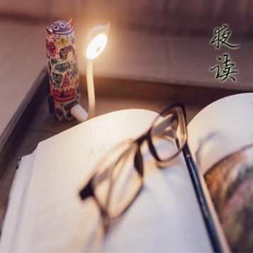 「诗词鉴赏」挑灯夜读 不负韶华(图25)