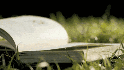 「诗词鉴赏」挑灯夜读 不负韶华(图37)