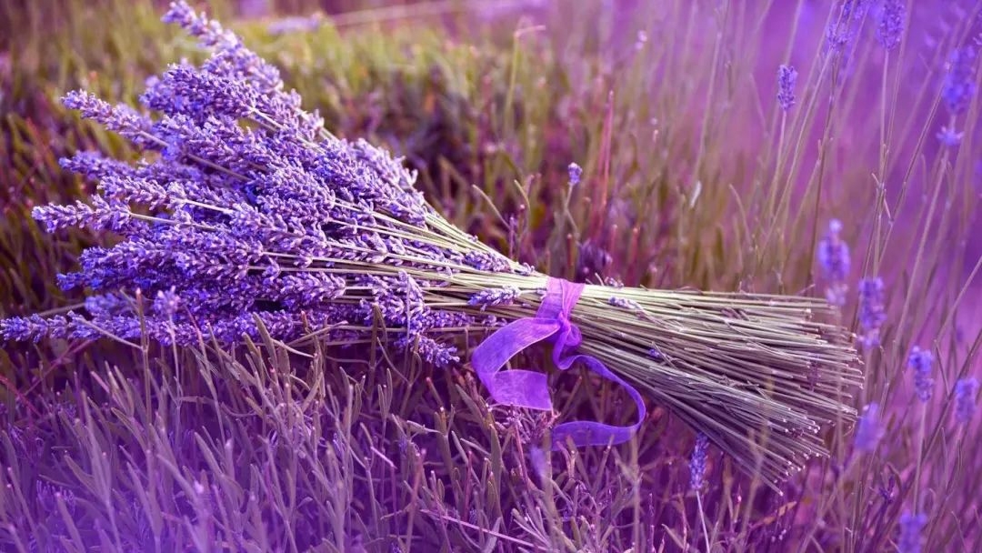 万家灯火的优美句子，灯火辉煌，温暖万家(图2)