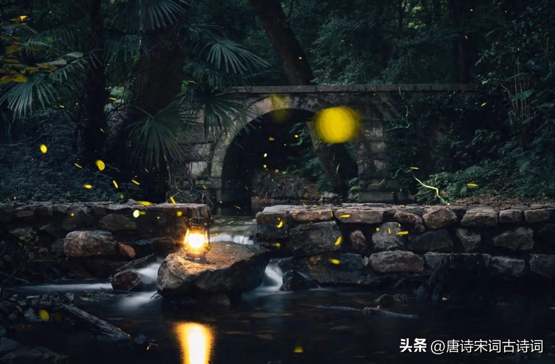 夏夜我没睡，等风等月等何人(图1)