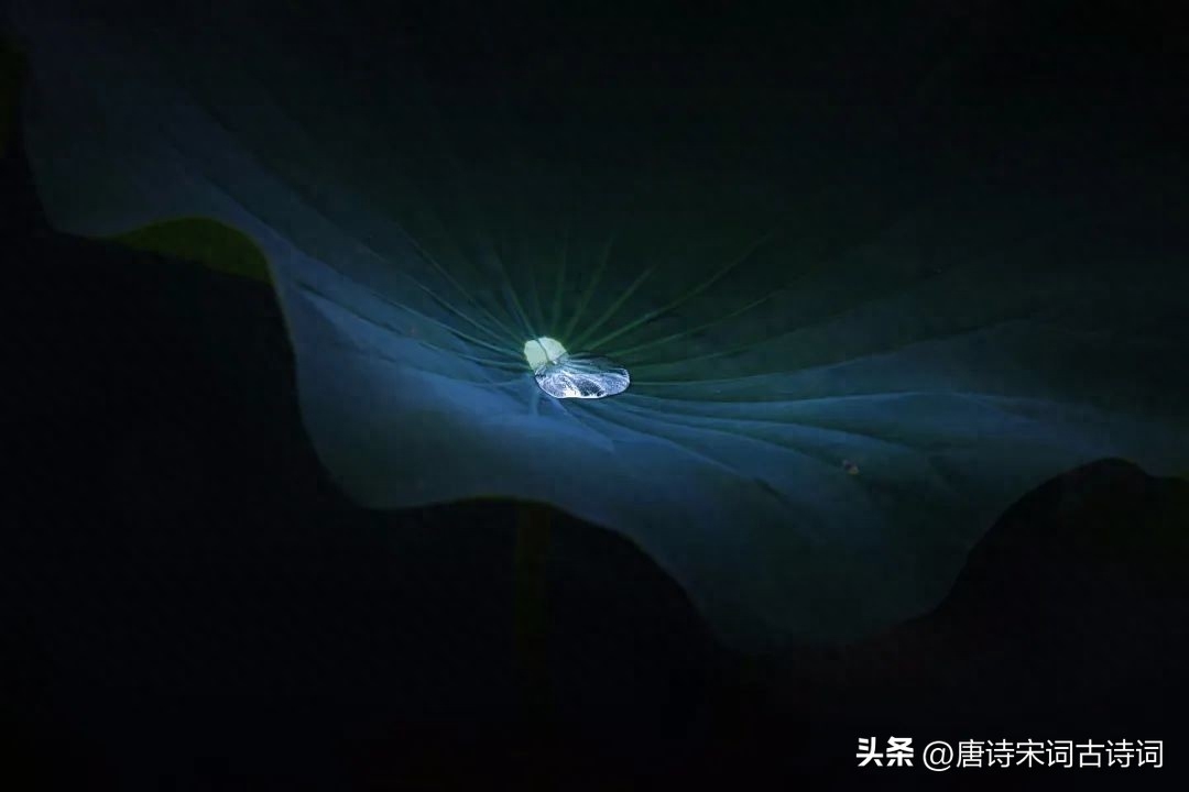 夏夜我没睡，等风等月等何人(图6)