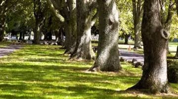 最美的10首现代情诗，是否早已打动你(图5)