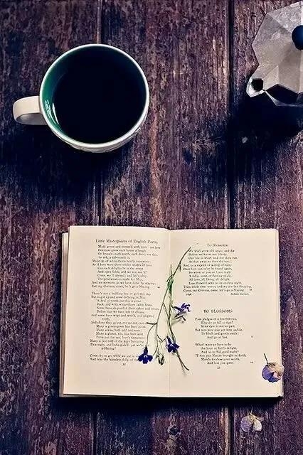 一本书香润心灵，一杯香茗阅人生。(图2)