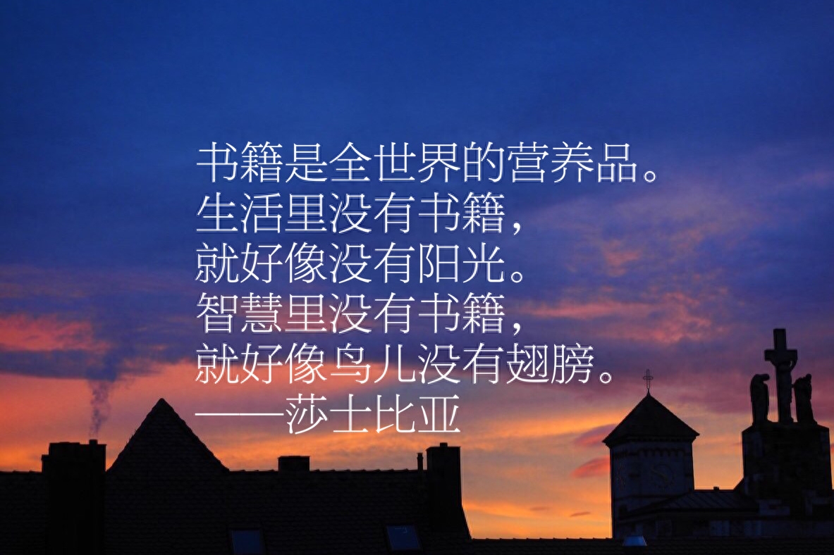 世界读书日：分享十句与书籍有关的句子，读书因读而美(图13)
