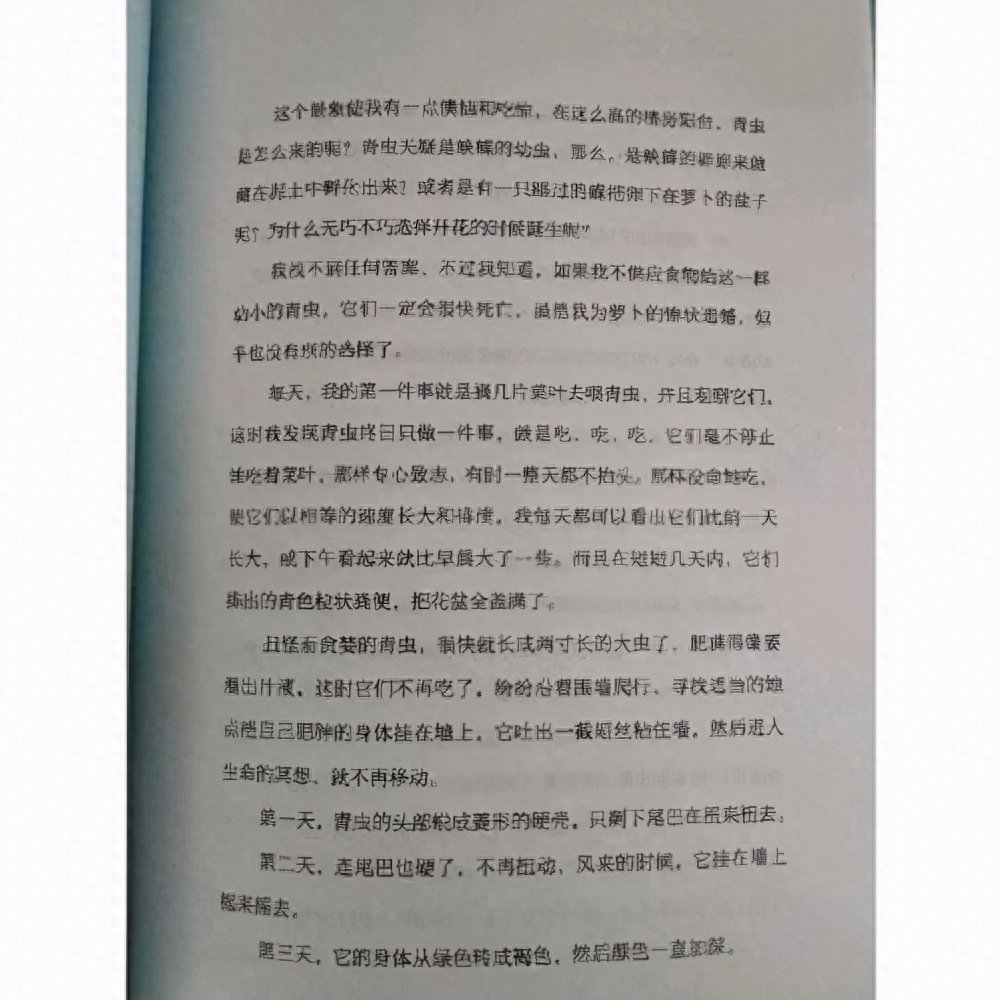 林清玄《心美,一切皆美》:好书,静心之书(图4) 林清玄《心美,一切皆美》:好书,静心之书(图4)