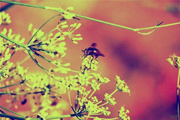 人生聚散无常，起落不定，但是走过去了，一切便已从容(图2)