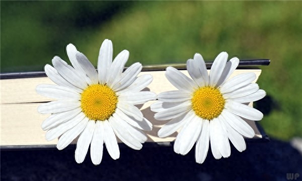 2020感悟人生的句子，经典至极，大彻大悟(图2)