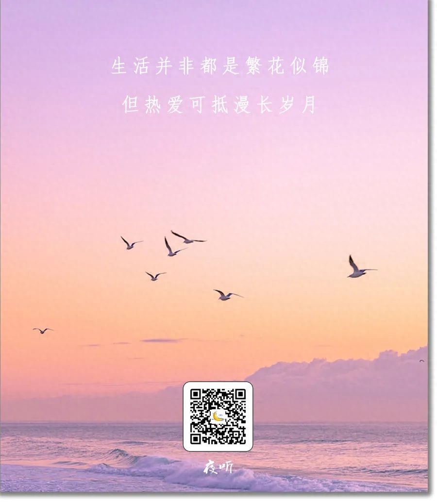 【夜听】 愿你活成自己的太阳，温暖有力量(图3)