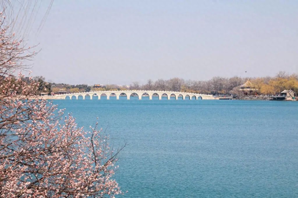 【夜听】心态好了,人生就顺了(此文无价)(图6) 【夜听】心态好了,人生就顺了(此文无价)(图6)