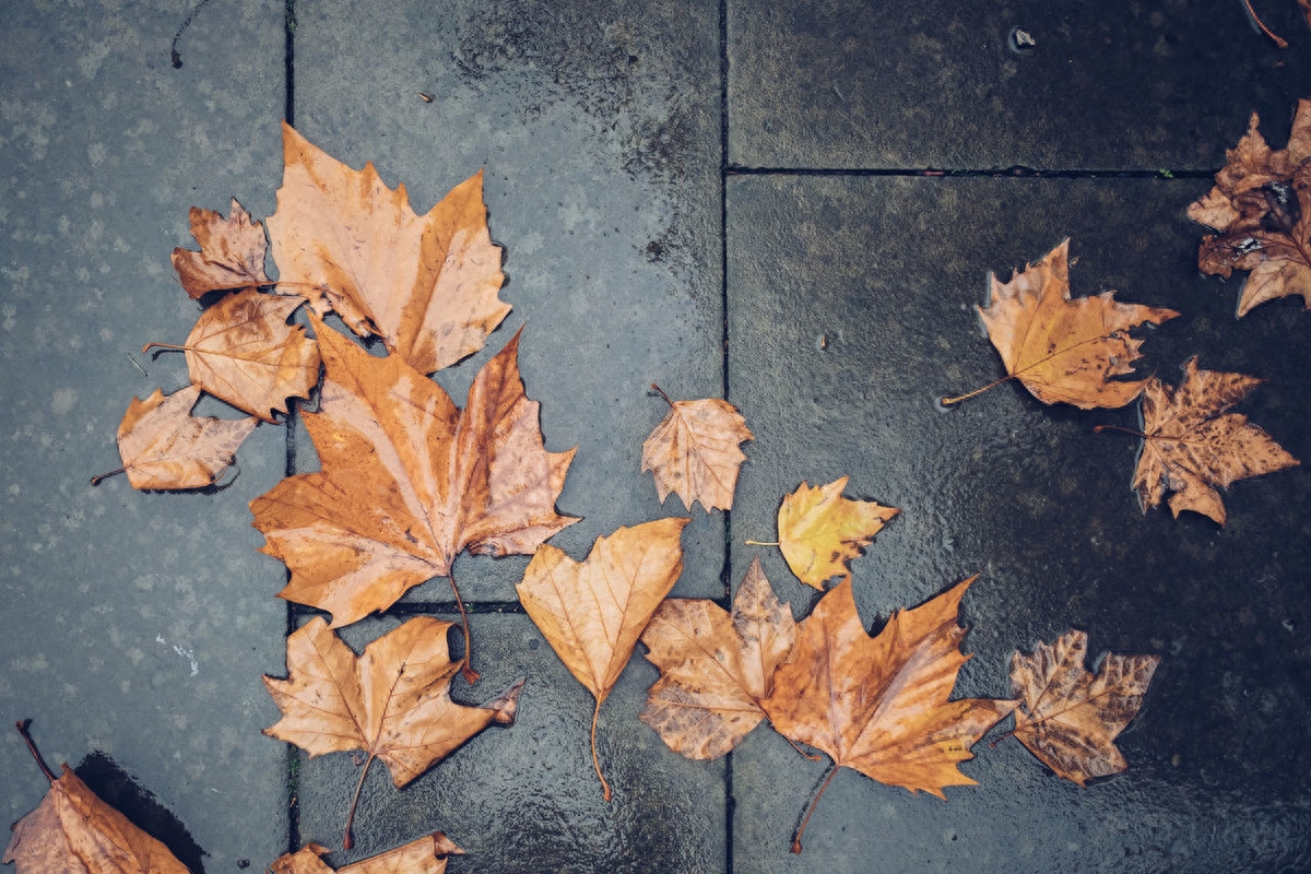 「夜听美文」感谢有你，在我的生命里(图1)