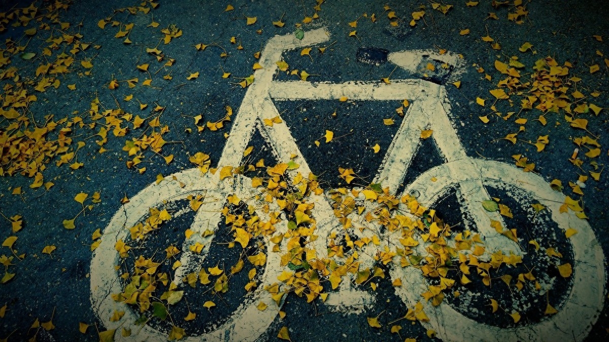 「夜听美文」感谢有你，在我的生命里(图2)