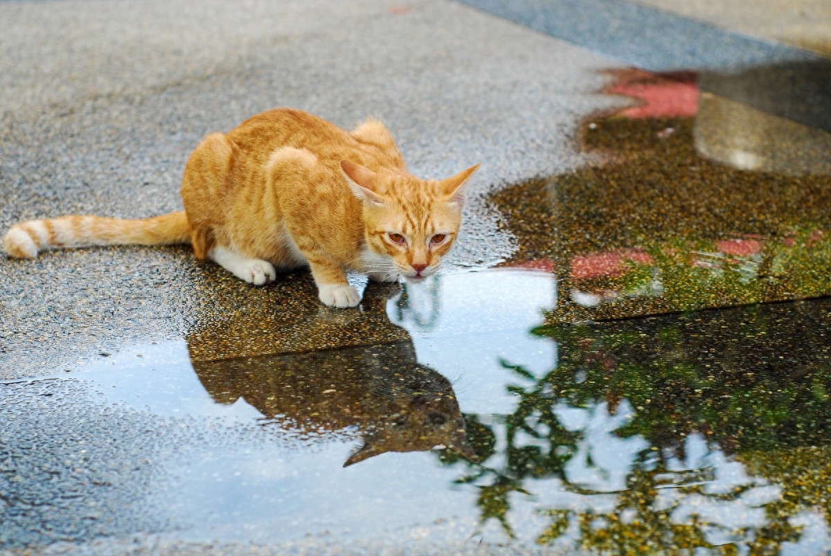 「夜听美文」感谢有你，在我的生命里(图5)