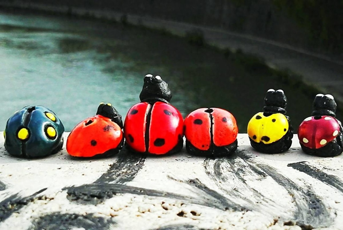 「夜听美文」感谢有你，在我的生命里(图7)