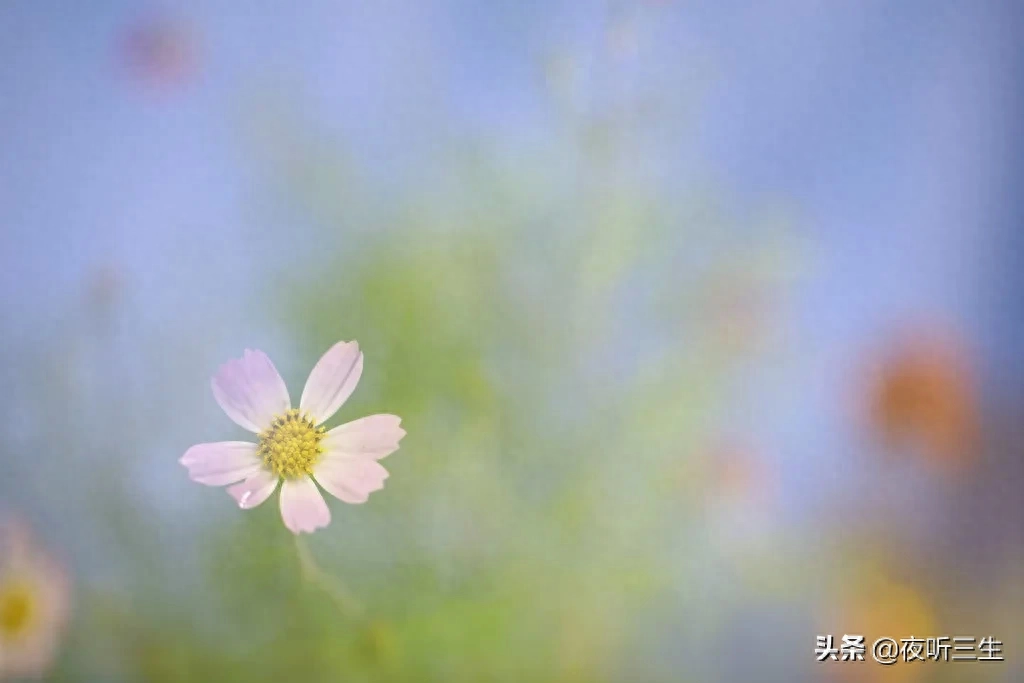 「夜听」没有完美的人生，只有最好的心态(图1)