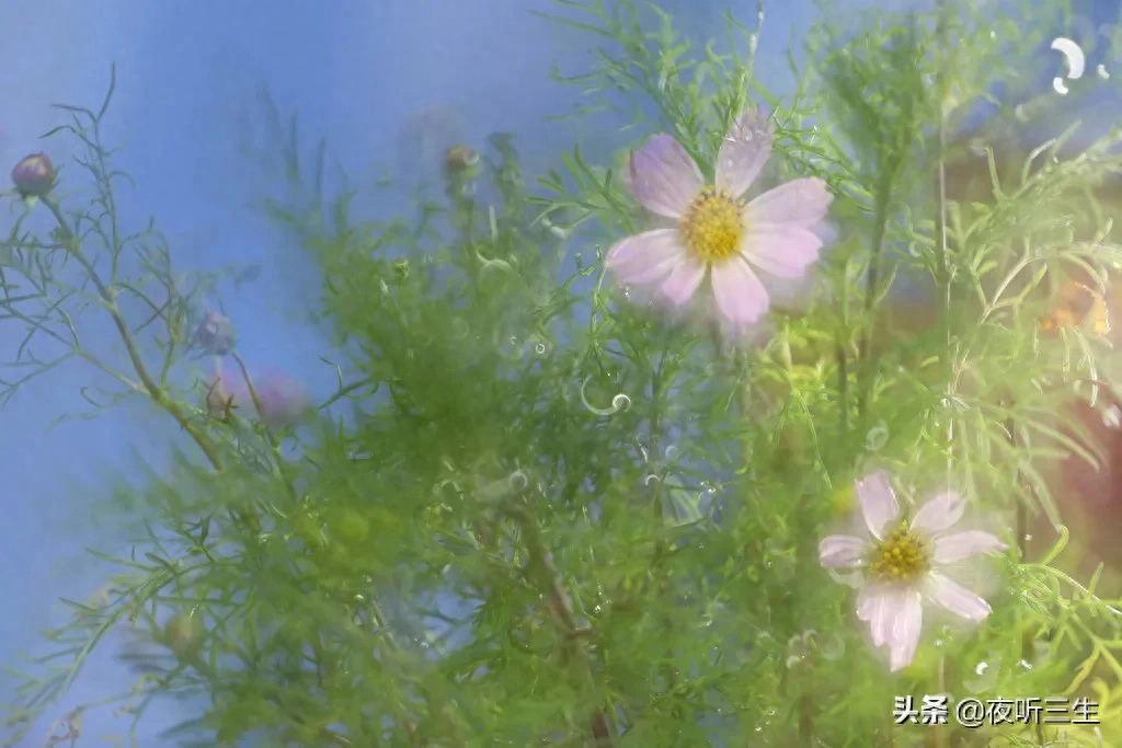 「夜听」没有完美的人生，只有最好的心态(图7)