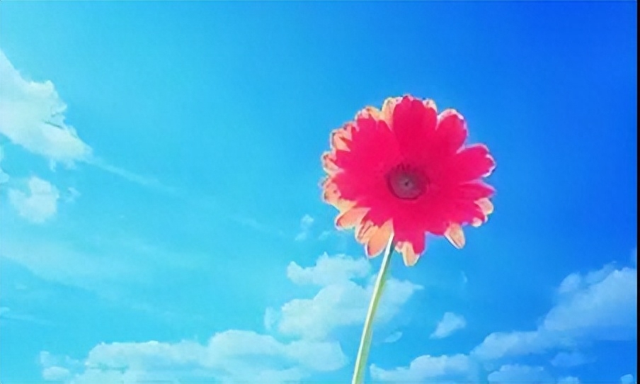 哀思寄语八个字(图1)