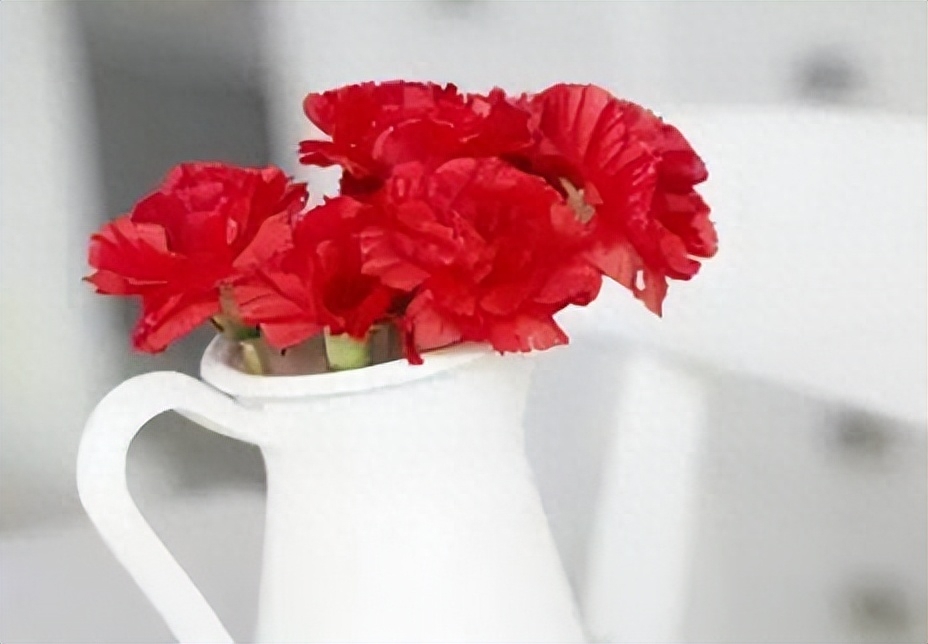 哀思寄语八个字(图2)