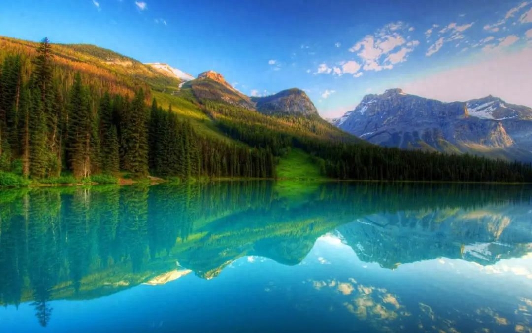 分享对妈妈的爱的句子(图1)