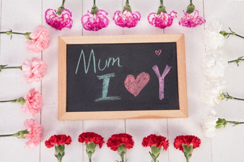 2019赞美母亲的温馨唯美句子，送给挚爱的妈妈们！(图6)