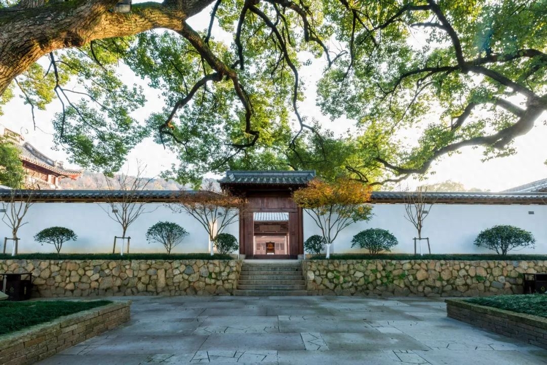 鲁迅十句话，最好背下来(图1)