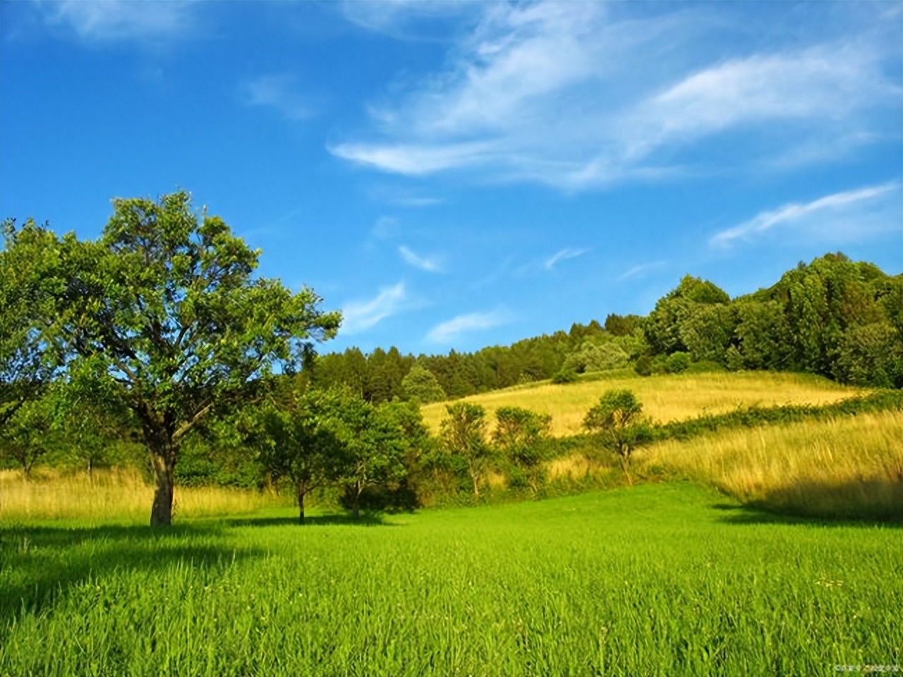 唯有健康最珍贵句子（发朋友圈健康重要的句子）(图2)