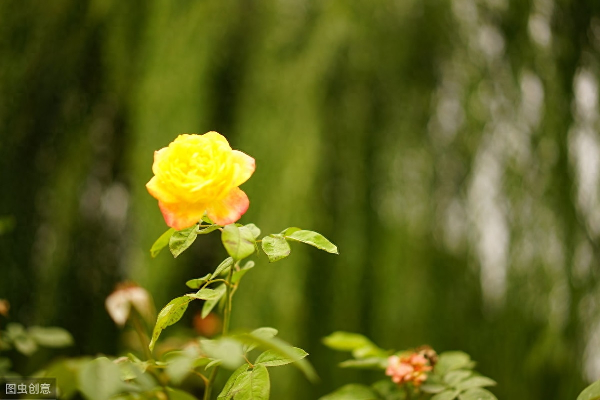 人到老年，这样活很美！句句经典，建议看看(图1)