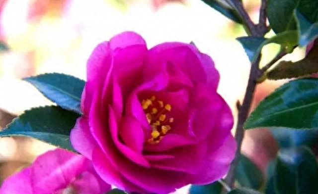 人到老年，这样活很美！句句经典，建议看看(图2)