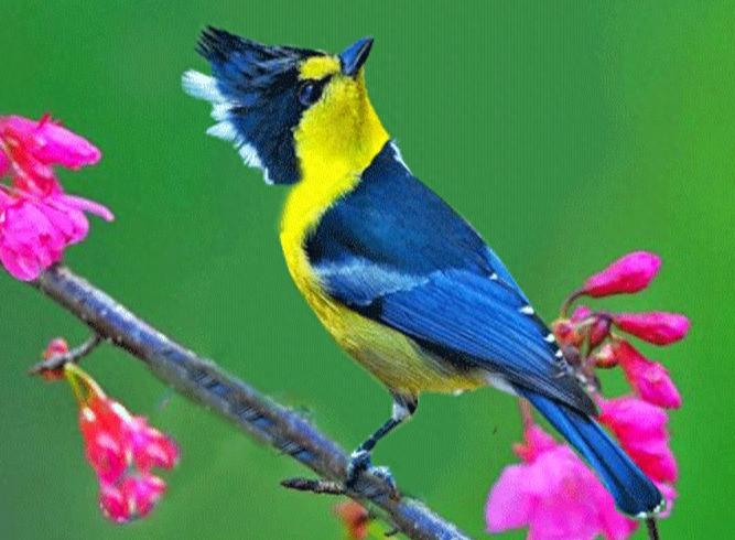 人到老年，这样活很美！句句经典，建议看看(图3)