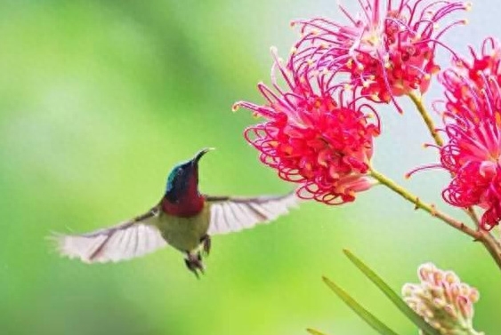 人到老年，这样活很美！句句经典，建议看看(图4)