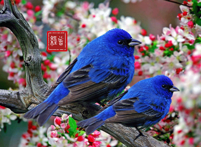 人到老年，这样活很美！句句经典，建议看看(图10)