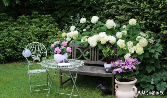 新时代格言！哪位高人编的，有意思！看完心情大好(图1)