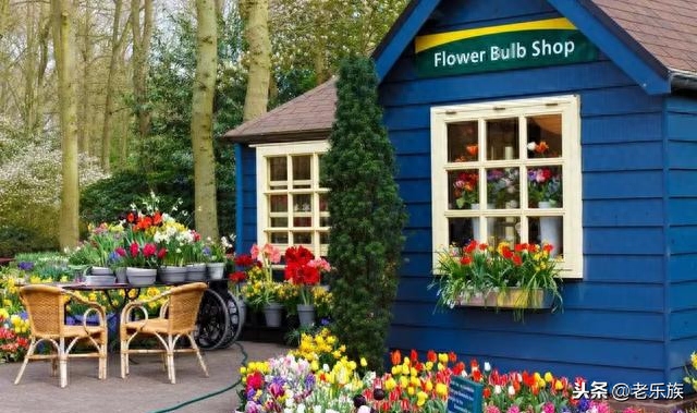 新时代格言！哪位高人编的，有意思！看完心情大好(图2)