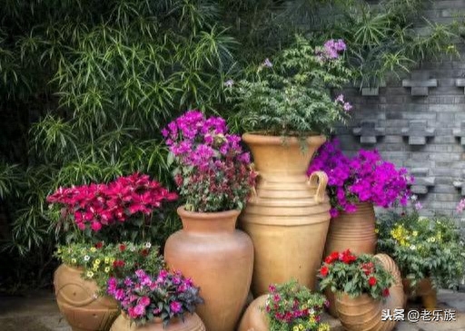 新时代格言！哪位高人编的，有意思！看完心情大好(图4)