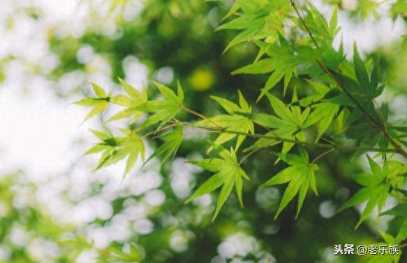 新时代格言！哪位高人编的，有意思！看完心情大好(图6)