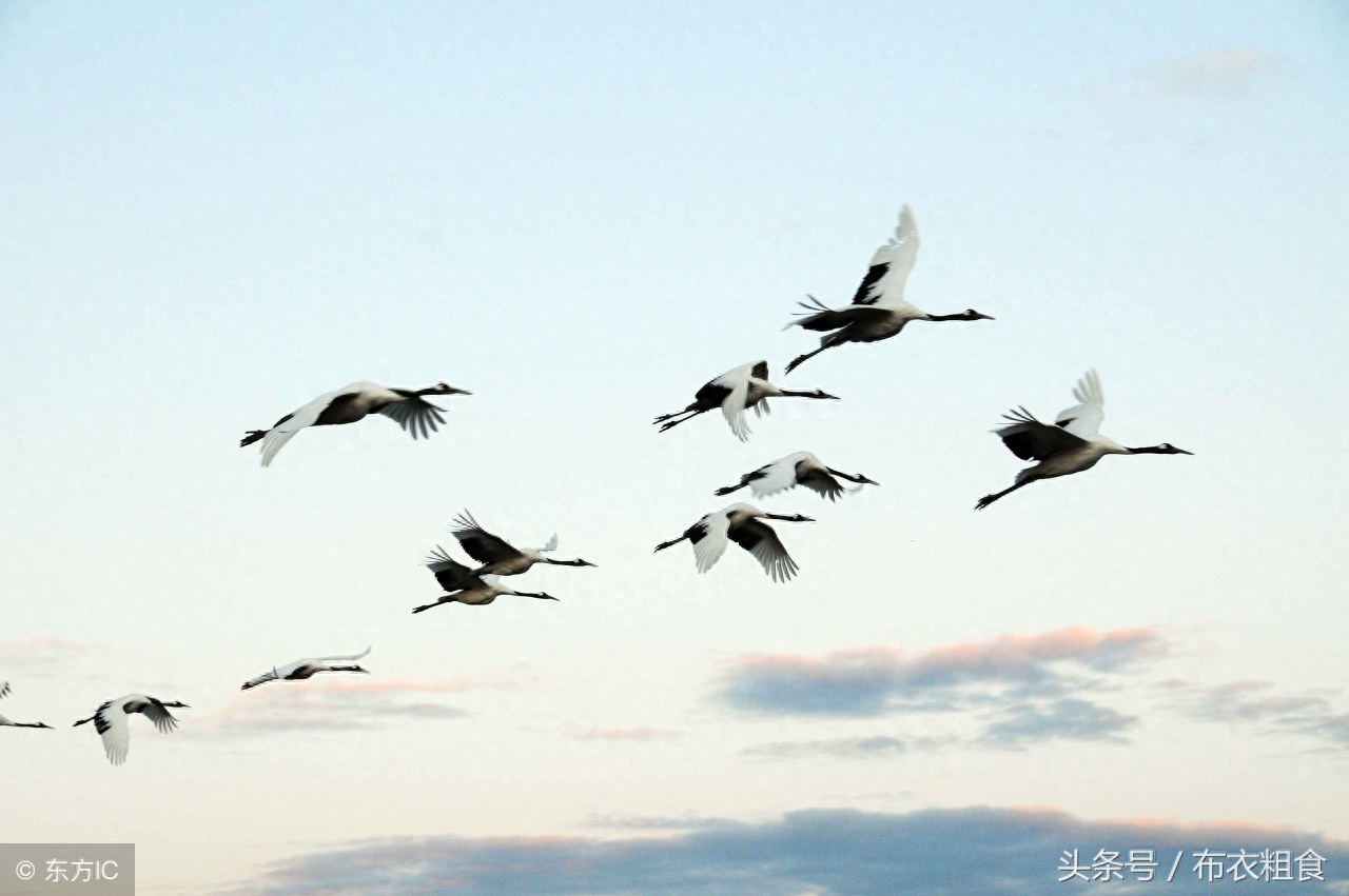 哪位高人总结了老年生活8句话，句句精辟，值得珍藏(图2)