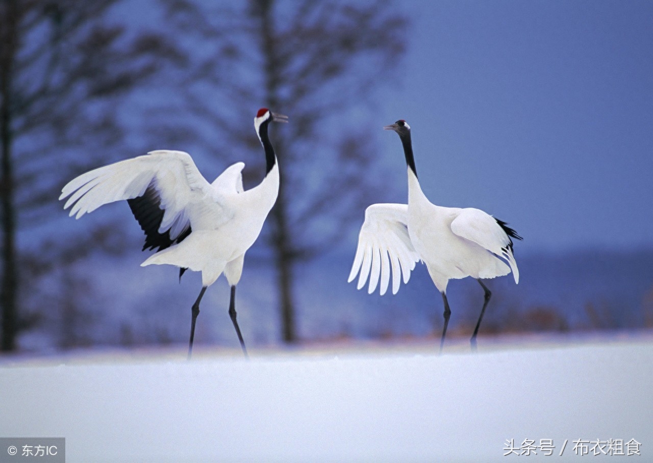 哪位高人总结了老年生活8句话，句句精辟，值得珍藏(图3)